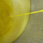 Olio EVO cos'è, Cosa significa Olio EVO, Vendita OnLine Olio Extravergine di Oliva Biologico, 100% Italiano